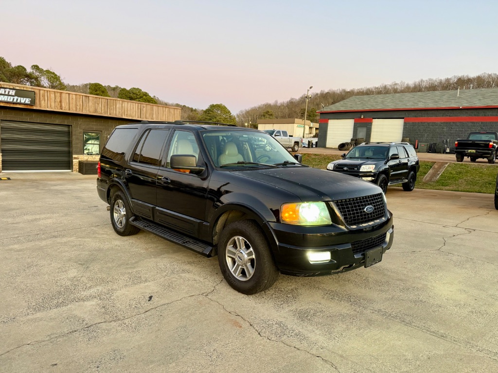 2004 Ford Expedition Eddie Bauer's photo